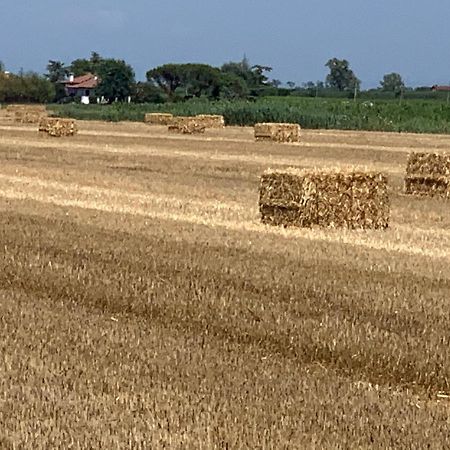 Agriturismo Ca' Alleata Καόρλε Εξωτερικό φωτογραφία