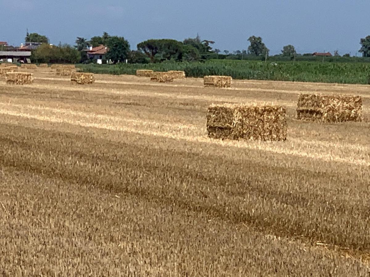 Agriturismo Ca' Alleata Καόρλε Εξωτερικό φωτογραφία