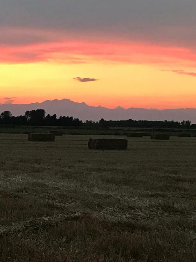 Agriturismo Ca' Alleata Καόρλε Εξωτερικό φωτογραφία