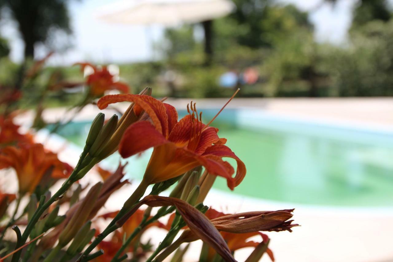Agriturismo Ca' Alleata Καόρλε Εξωτερικό φωτογραφία